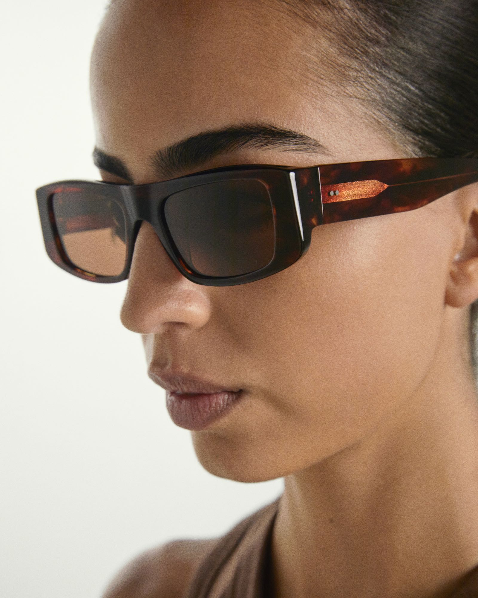 LW03 | TORT BROWN