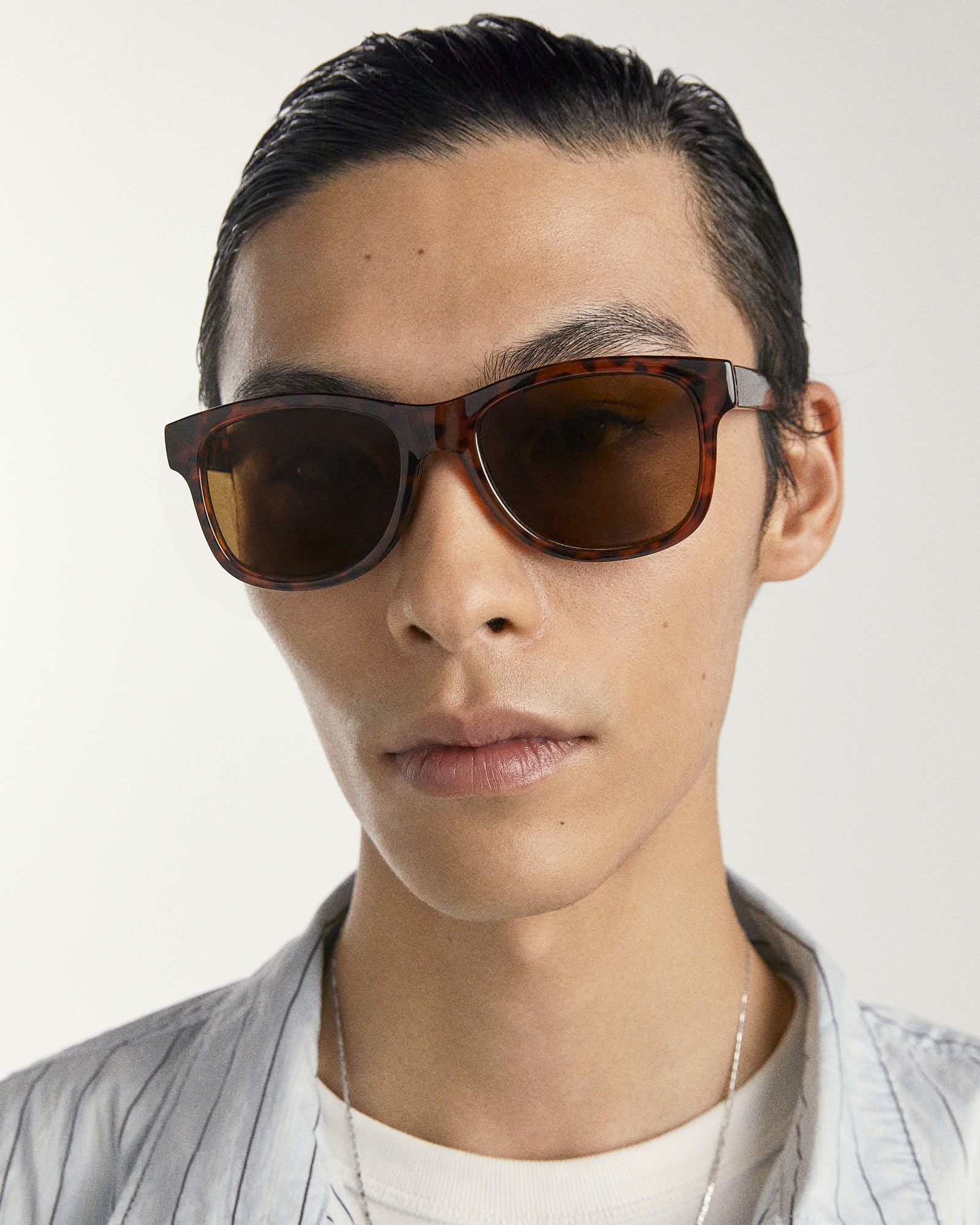 CHI | POLISHED TORT BROWN