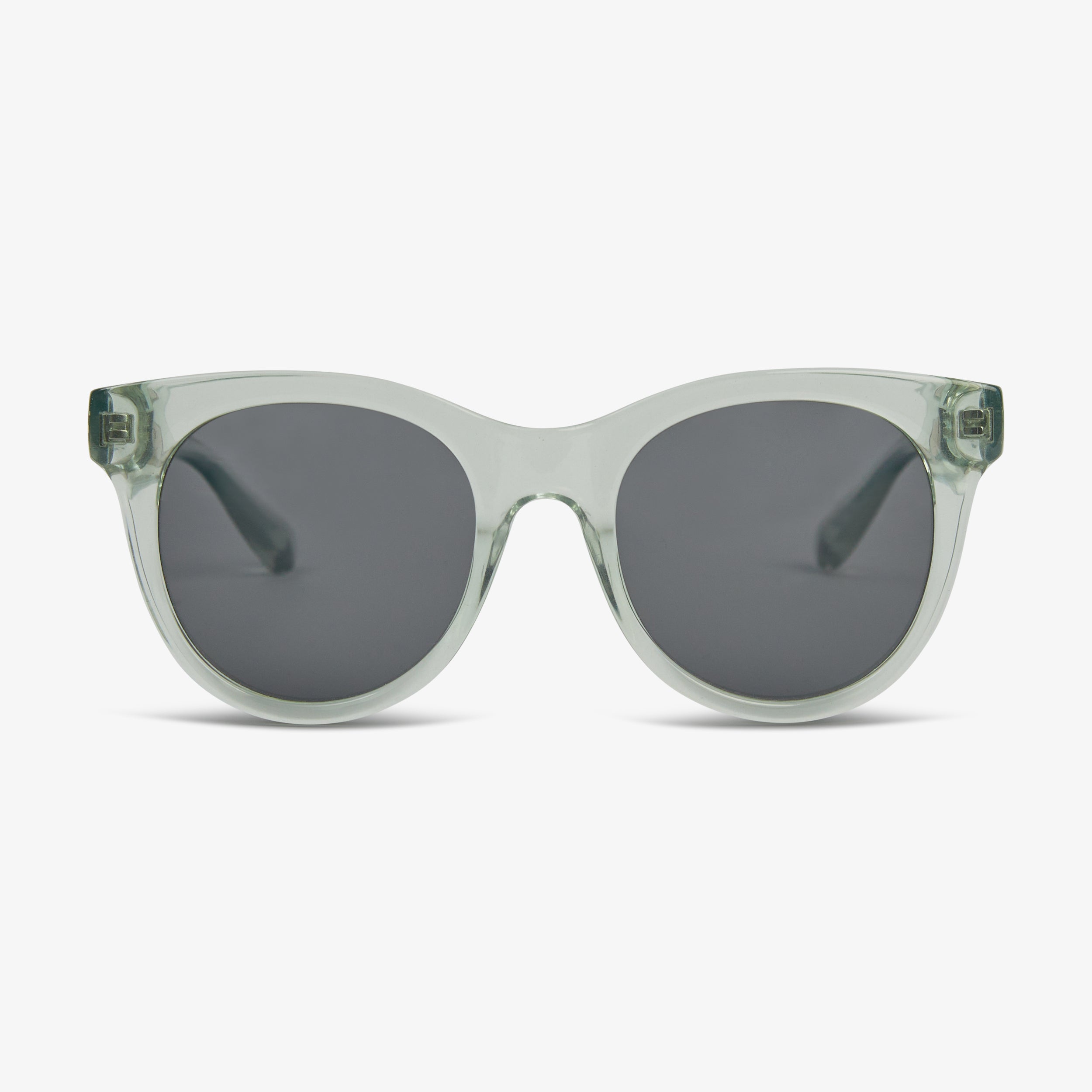 MINT - POLARIZED LENS