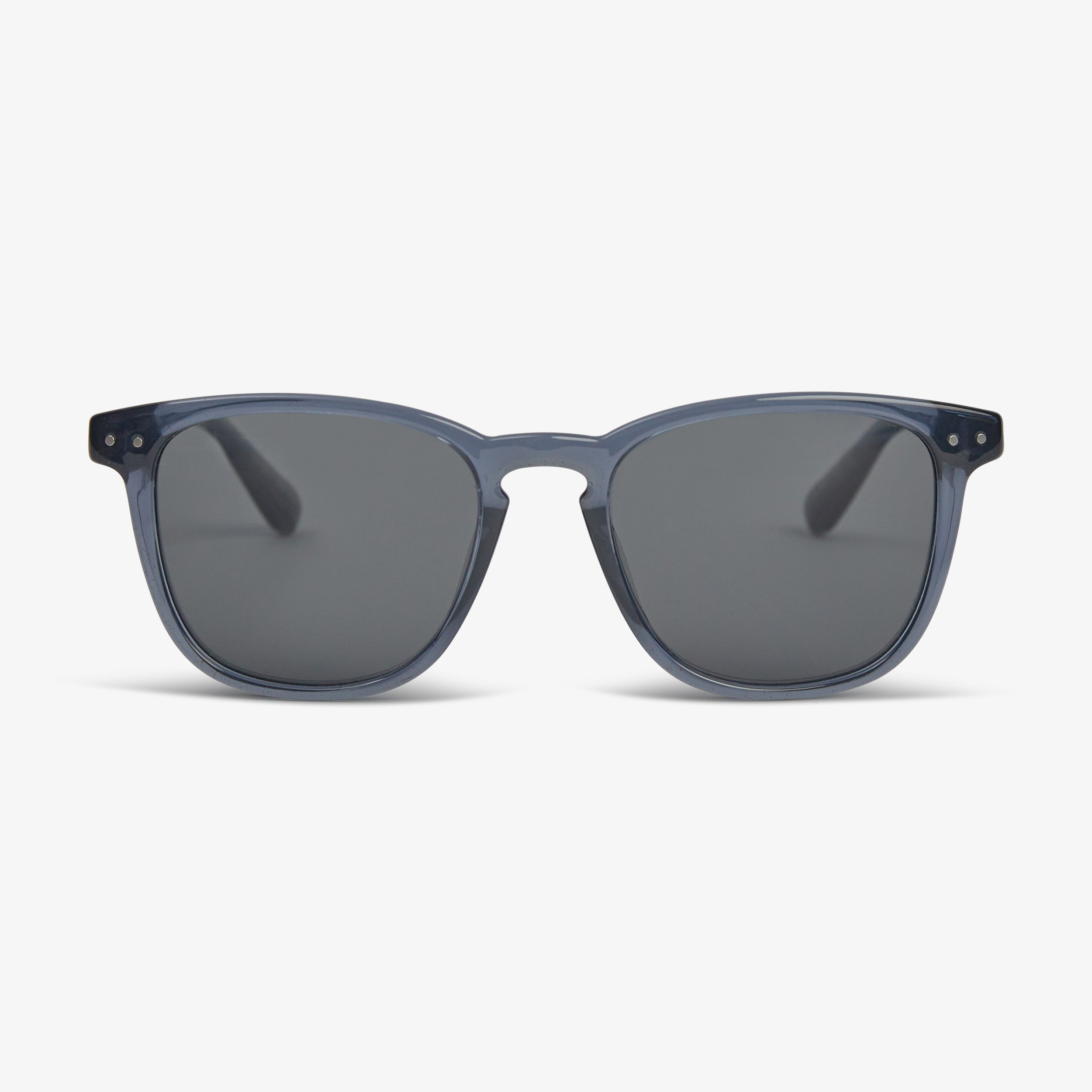 NAVY - POLARIZED LENS