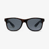 POLISHED TORT - POLARIZED LENS